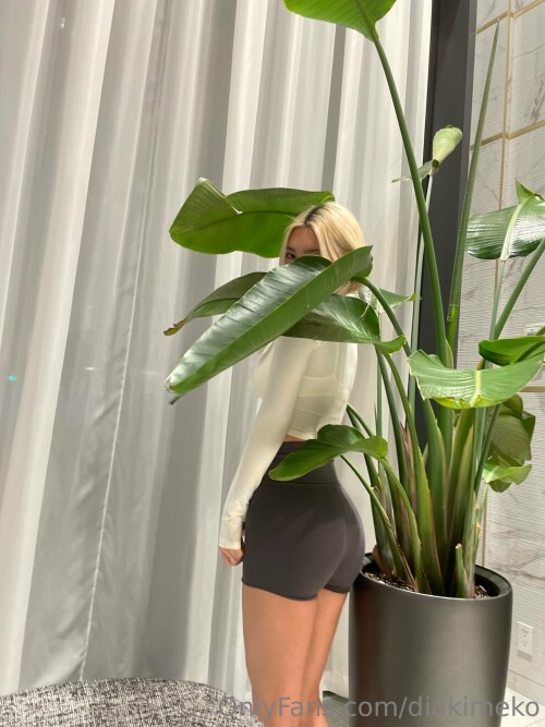 diakimeko Nude Leaked Onlyfans Photo diakimeko Nude Leaked Onlyfans Photo