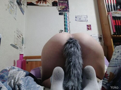 Yoko | yoko_foxy | yokocosplay | notkarma | x.notkarma Nude Leaked Onlyfans Photo Yoko | yoko_foxy | yokocosplay | notkarma | x.notkarma Nude Leaked Onlyfans Photo