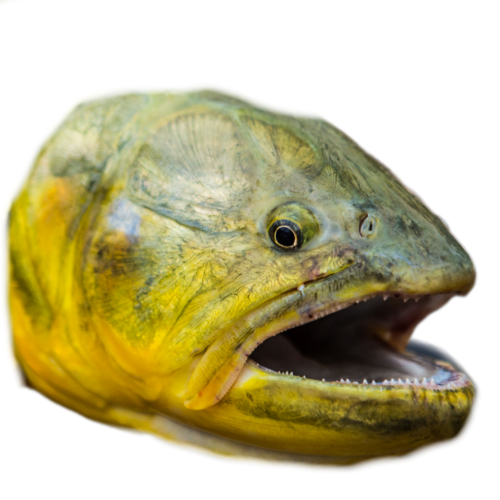 InShot_20221127_230014999.png